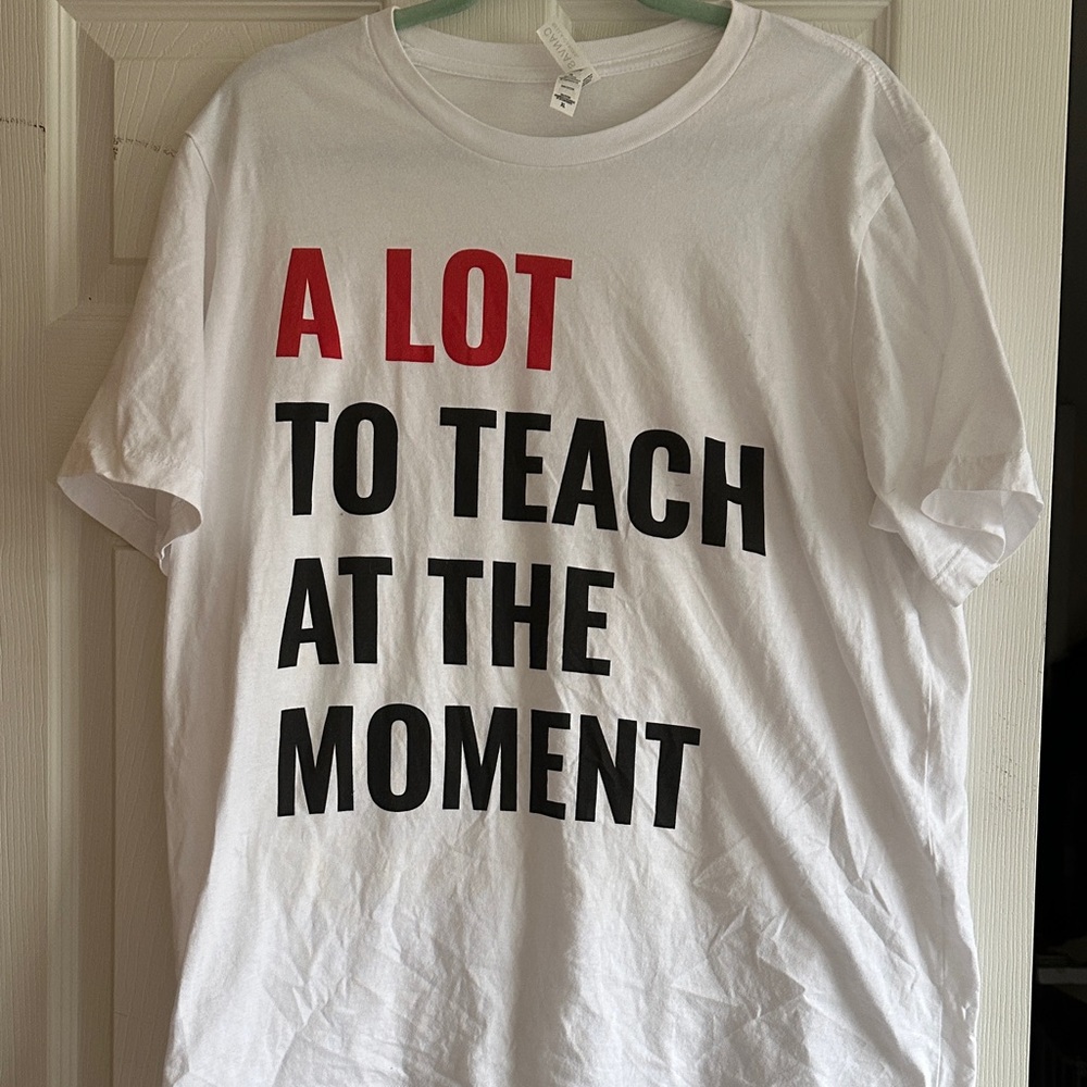 Taylor Swift Inspired Teacher T-Shirt